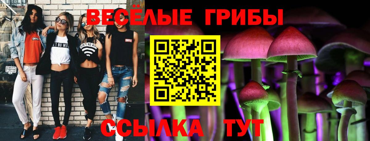 Галлюциногенные грибы Psilocybe Валуйки